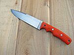 2009-04-01 - Orange fighter 2897