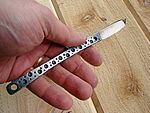 2009-04-14 - The Shank 2858